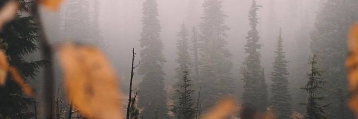 korey888's profile banner image