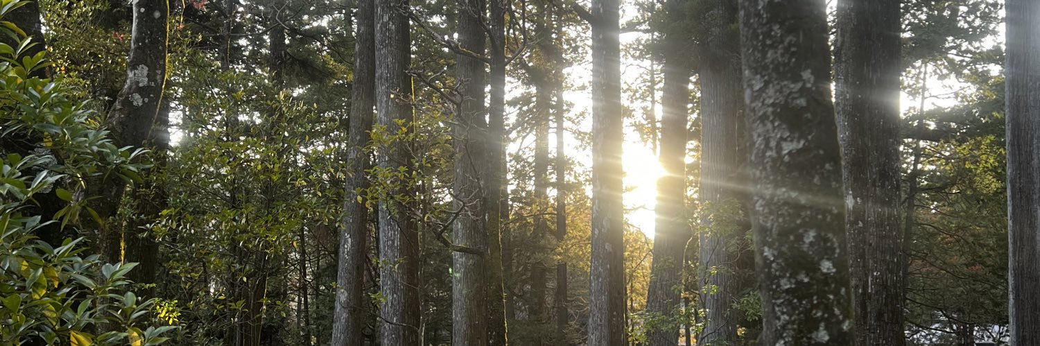 AgyosCS's profile banner image