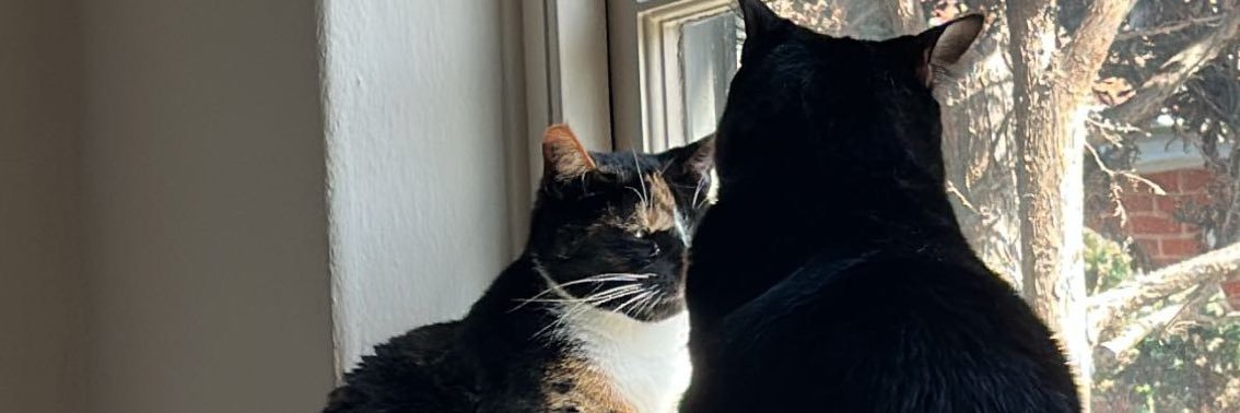 t banner