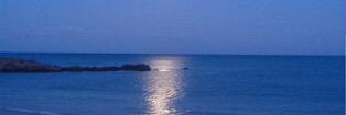moonlight_1961's profile banner image