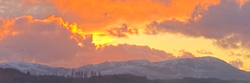 SimonTicehurst's profile banner image