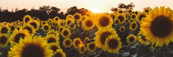 cgadames Profile Banner