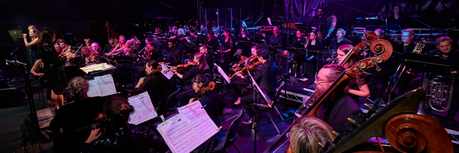 Perth Symphony (PSO) banner