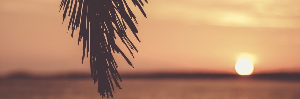 _drefinese_'s profile banner image
