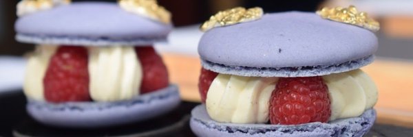 HLChronicles Profile Banner