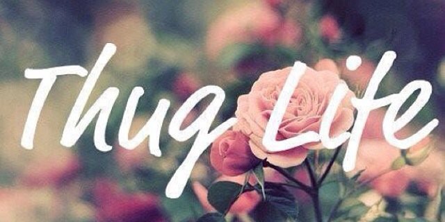 AmarisSincerely's profile banner image