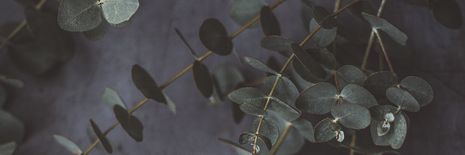 komapocchi's profile banner image