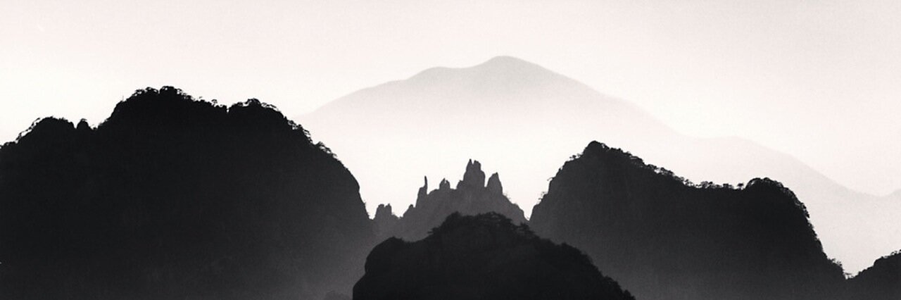 reginelb's profile banner image