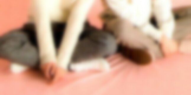 QPHMTP_'s profile banner image
