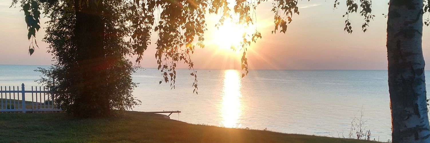 je650911's profile banner image