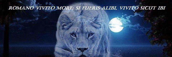 scarabe12's profile banner image