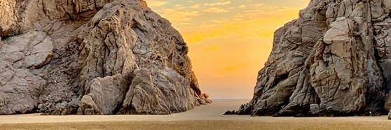 Vinitha Gengatharan banner