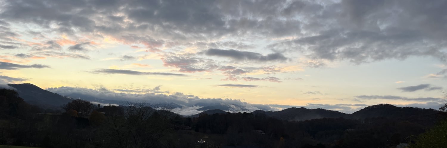 gabby🔻 pentin banner