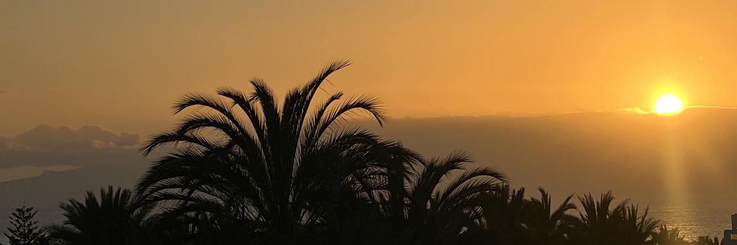 Bernadette Turner ✨ banner