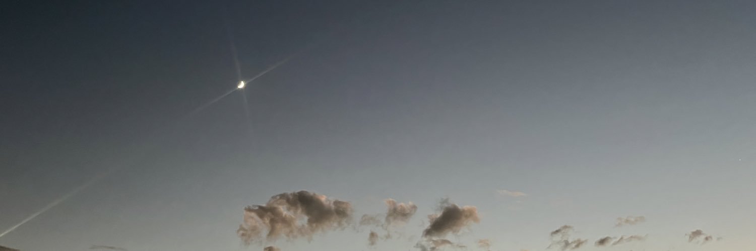 blossayy's profile banner image