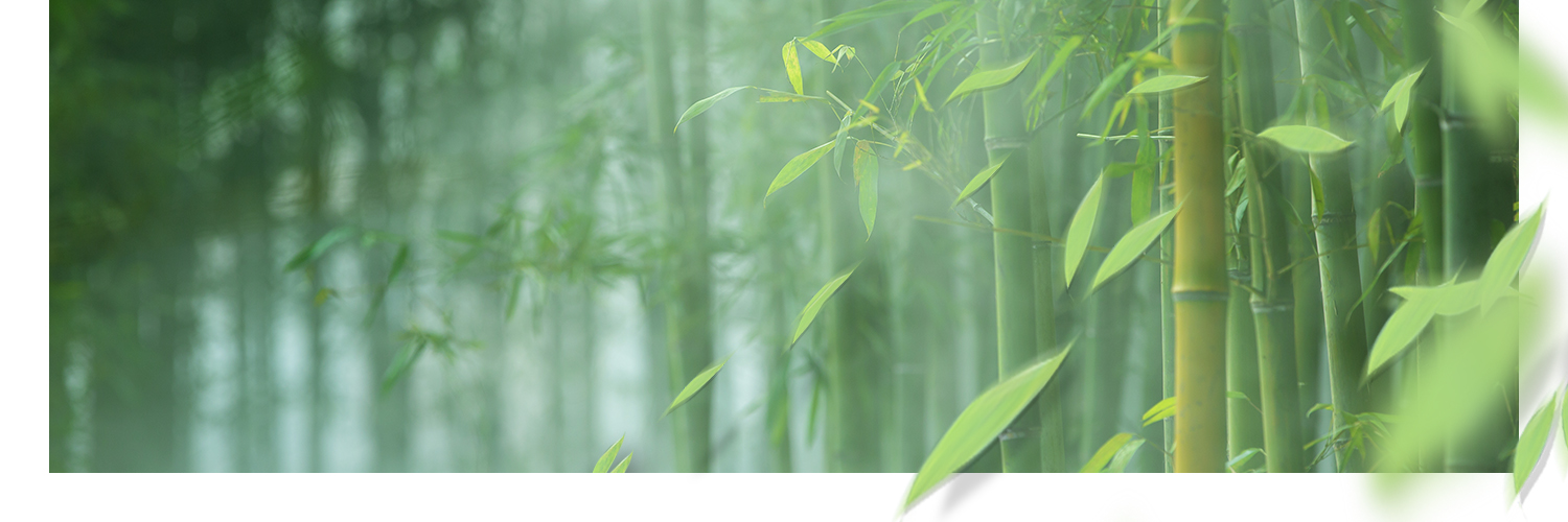 Valiant Panda banner