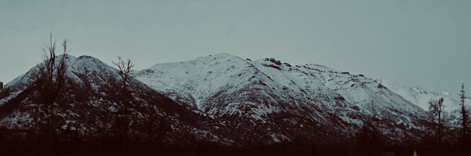 Impeachedninja's profile banner image