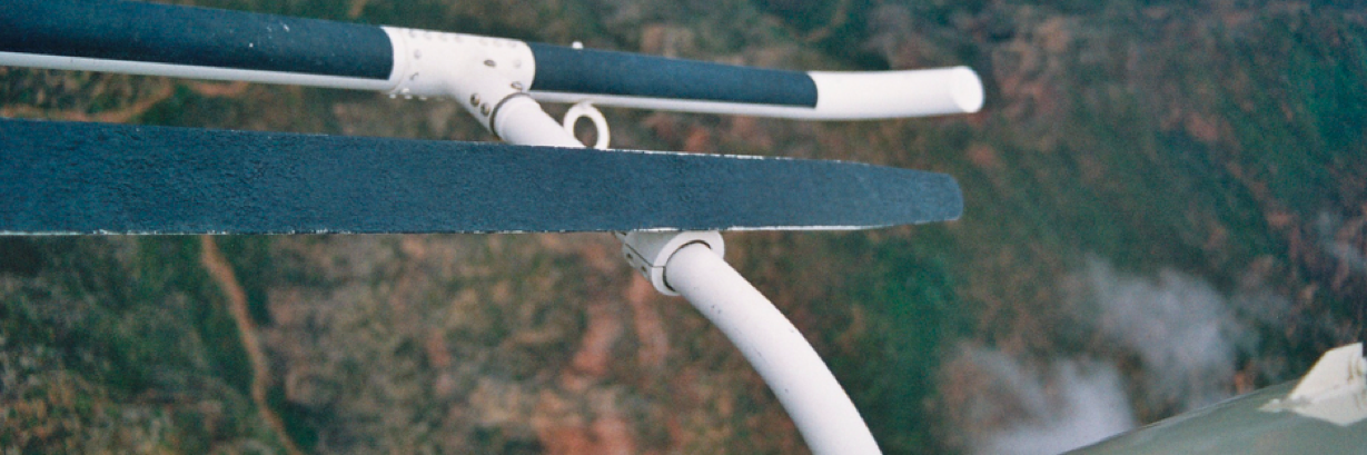 Béatrice Roy banner