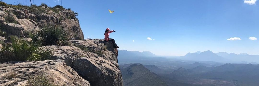 X𝓛𝓪𝓾𝓻𝓪 banner