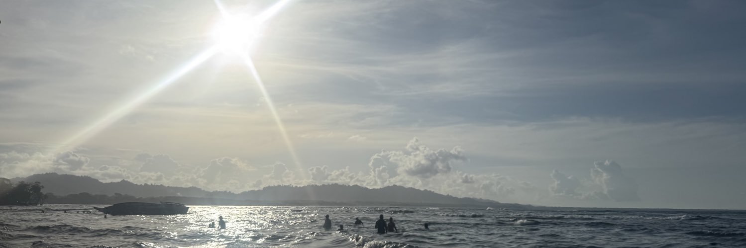 T banner