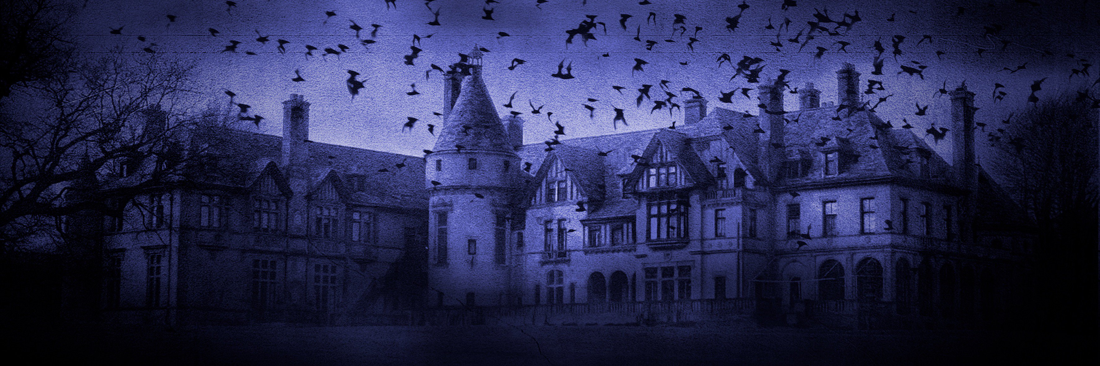 DarkShadowsBFP banner