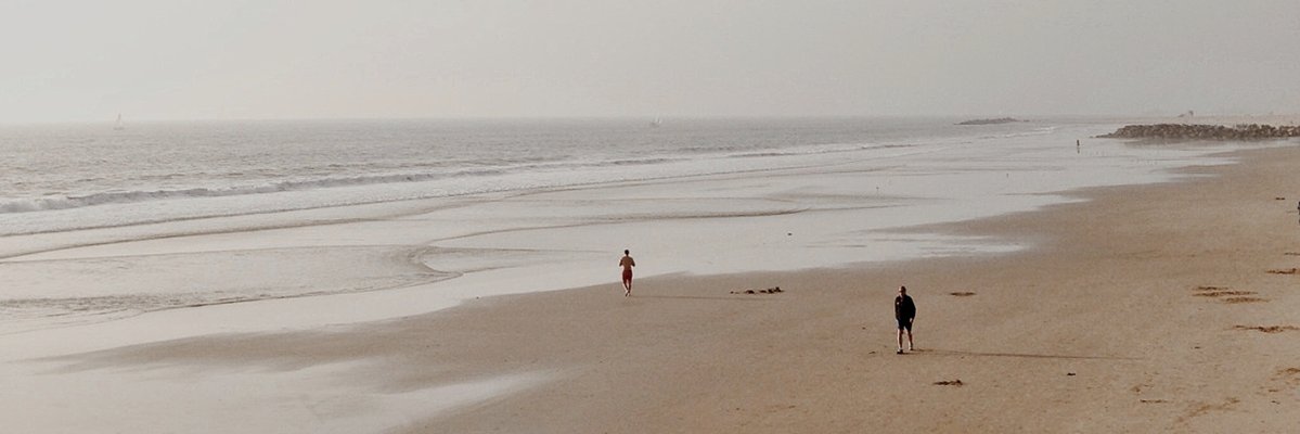 PJMLT's profile banner image