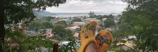 Nosey Bastard banner