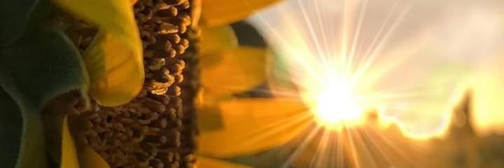 etzaniaR's profile banner image