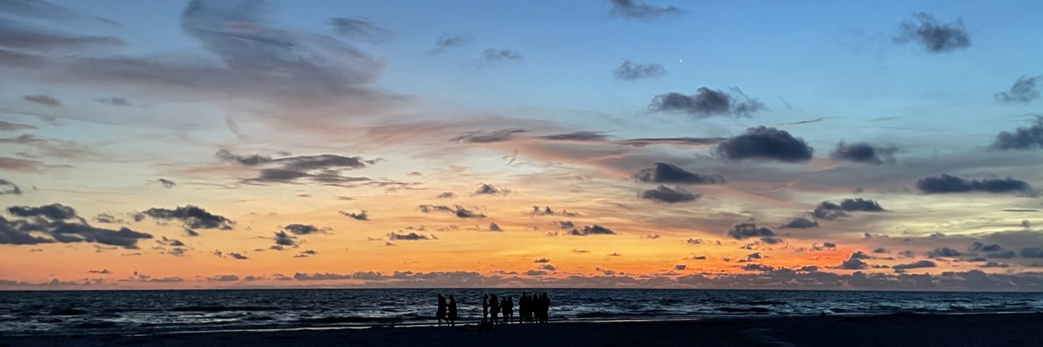 MsWillisScience's profile banner image