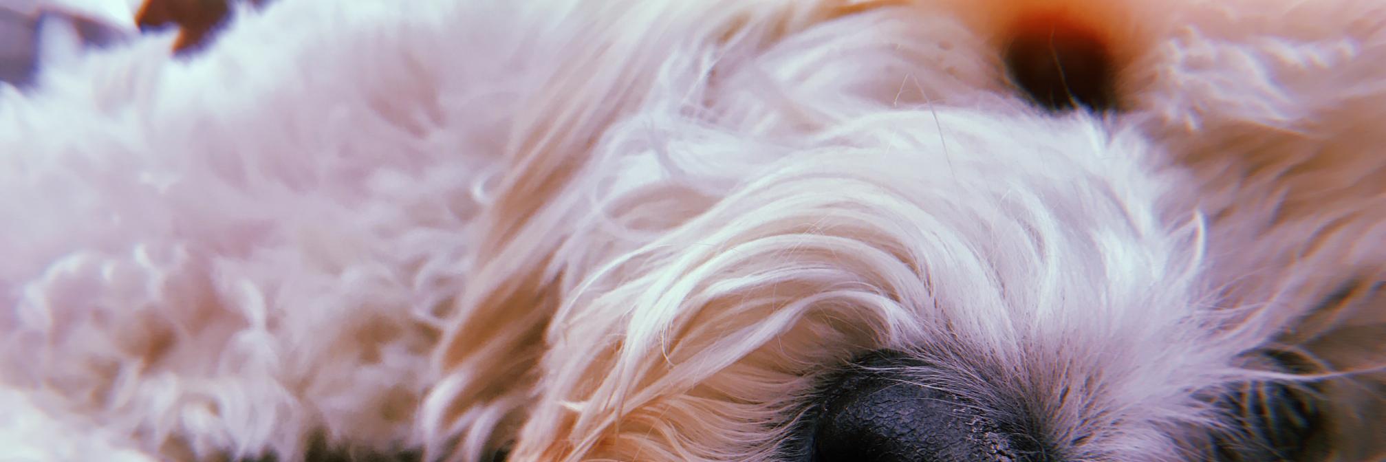 running_erins_'s profile banner image
