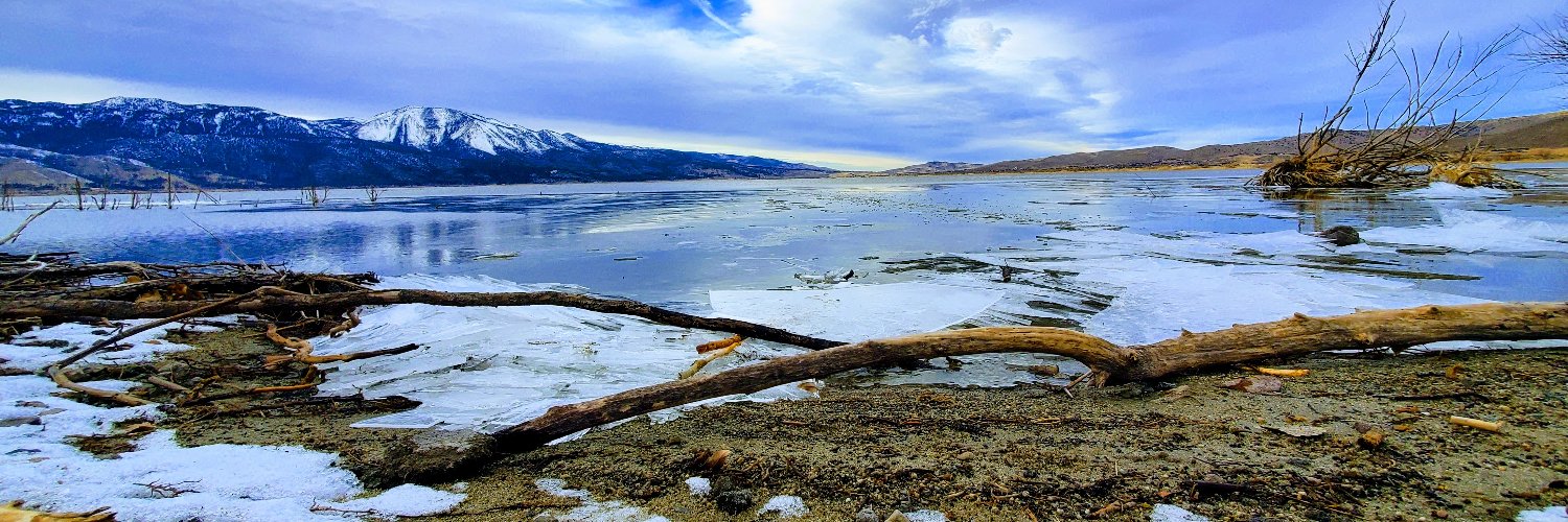 Michelle Rindels banner