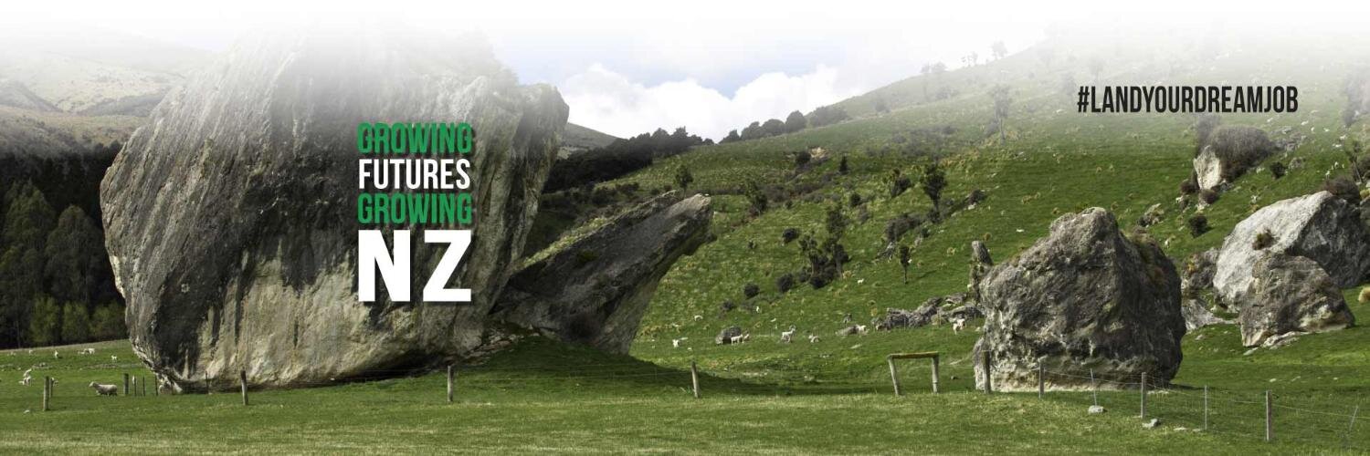 LYDJNZ's profile banner image