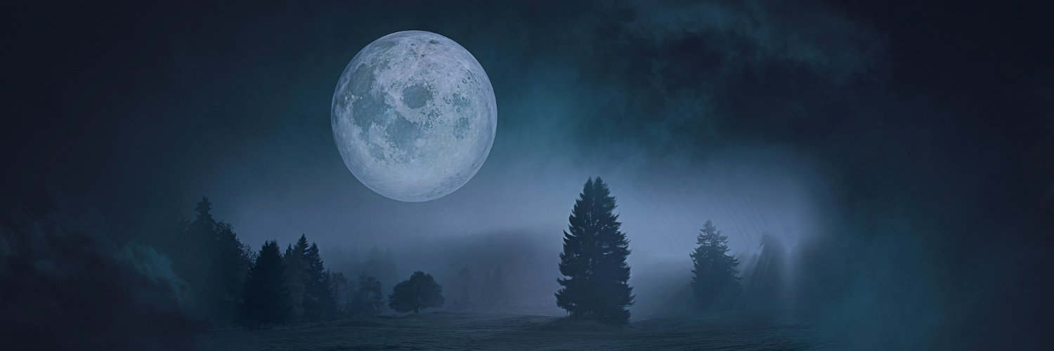 ricklabouve's profile banner image