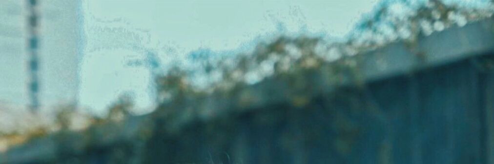 𝐉 𝐀 𝐍 𝐄 banner