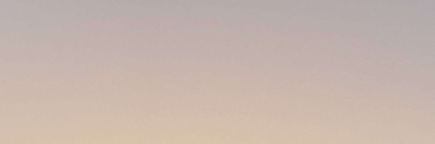igeoriri's profile banner image