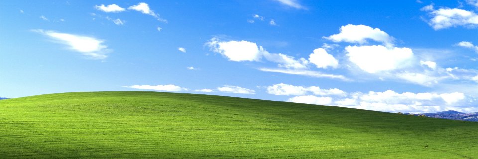 BongusRhombus's profile banner image