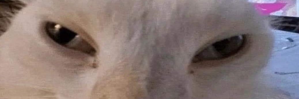 Tikitiki262's profile banner image