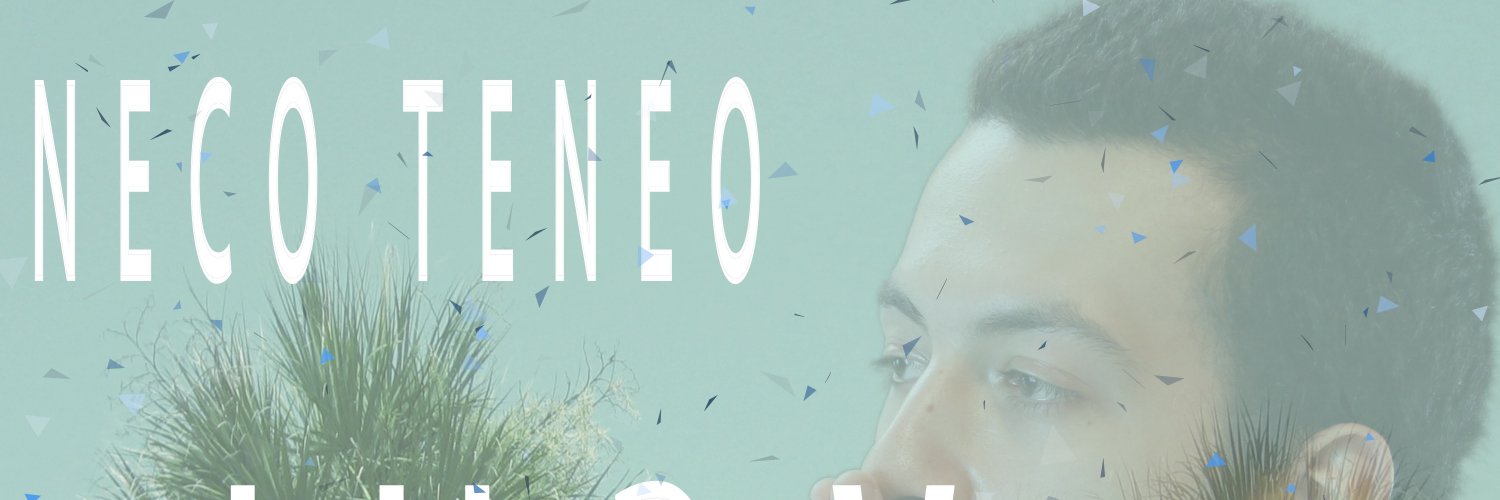 WhiteNoiseInk's profile banner image