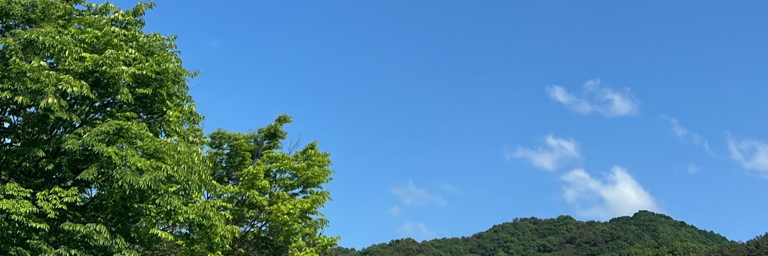 rafyyxy's profile banner image