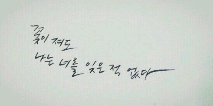 Flower__yy's profile banner image