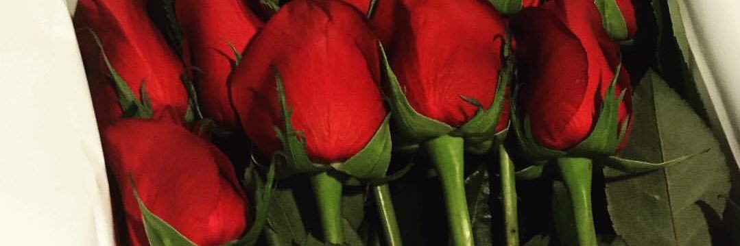 emmaservalan44's profile banner image