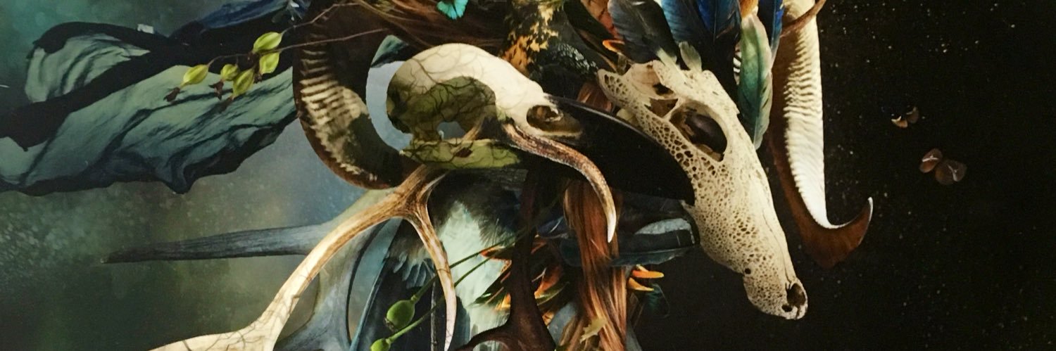 TannerTitlow's profile banner image