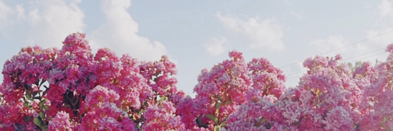 mallyoben's profile banner image