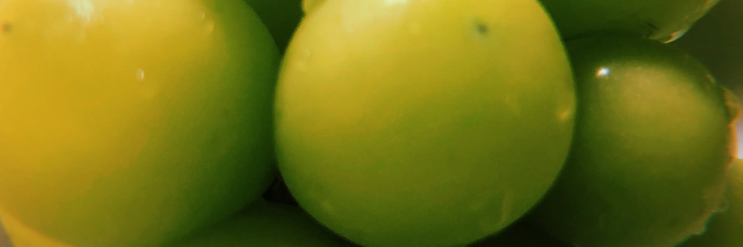 GTaketo's profile banner image
