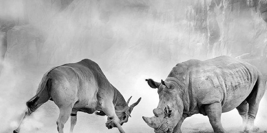 jozikee's profile banner image