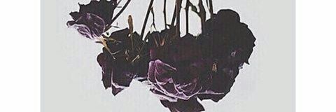 rika_rikamelia's profile banner image