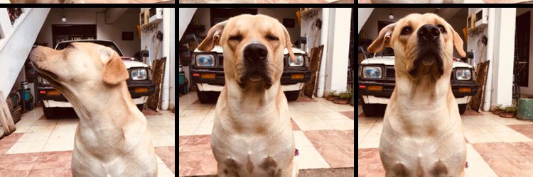 ndashika's profile banner image