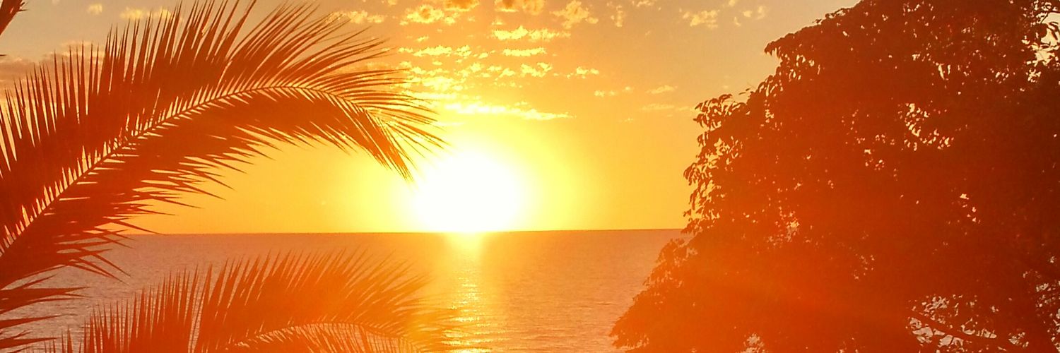 jorgito976's profile banner image