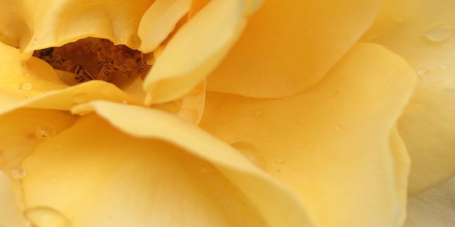 FilippaQ's profile banner image