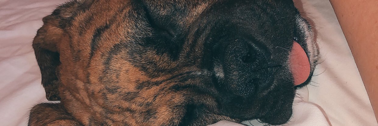 JennnaConrad's profile banner image